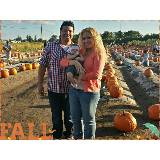 Pumpkin Patch 2014.jpg